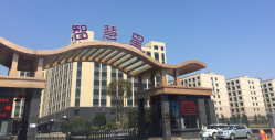 祝賀義烏市智慧星玩具有限公司順利通過ICTI、BSCI認證