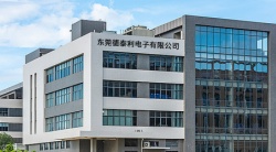 祝賀東莞德泰利電子有限公司2024年一次性成功通過RBA認證